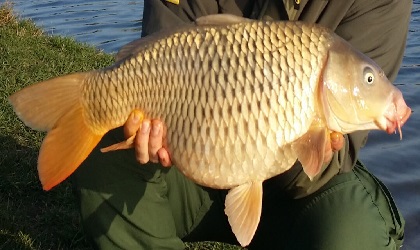 Esca Giusta per la Carpa