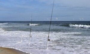 Cosa si pesca a surf casting e beach ledgering 