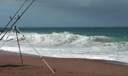 Cosa si pesca a surf casting e beach ledgering durante tutto l’anno.